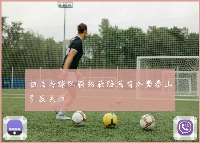 祖马与球队解约获赔或将加盟泰山引发关注