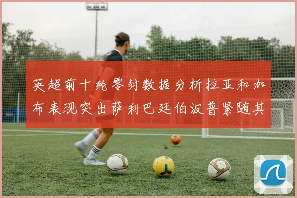 英超前十轮零封数据分析拉亚和加布表现突出萨利巴廷伯波普紧随其后